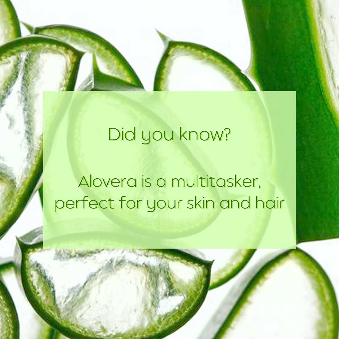ALOE VERA | Perfect For All Skin & Hair Types | Suitable for DIY Beauty Recipes | 99% Pure w/ Ashwagandha  & Wheat Germ Oil