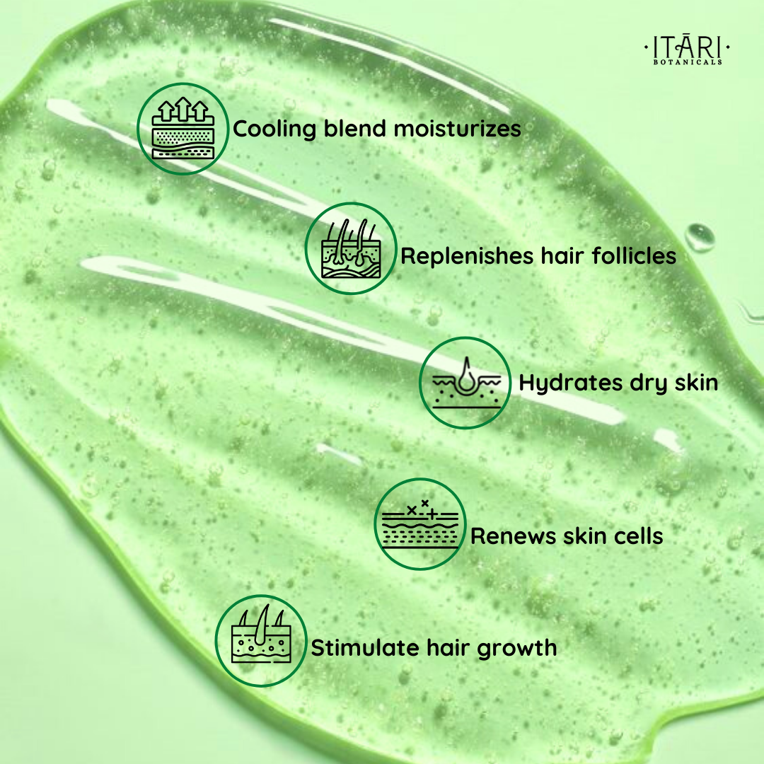 ALOE VERA | Perfect For All Skin & Hair Types | Suitable for DIY Beauty Recipes | 99% Pure w/ Ashwagandha  & Wheat Germ Oil