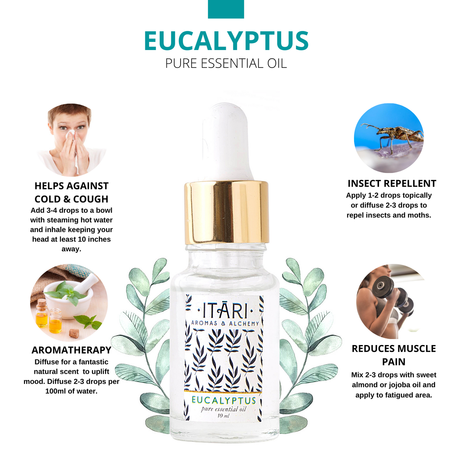 Pure Eucalyptus Essential Oil