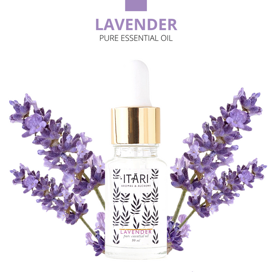 Pure Lavender Essential Oil | 100% Natural Therapeutic Grade Eco Certified