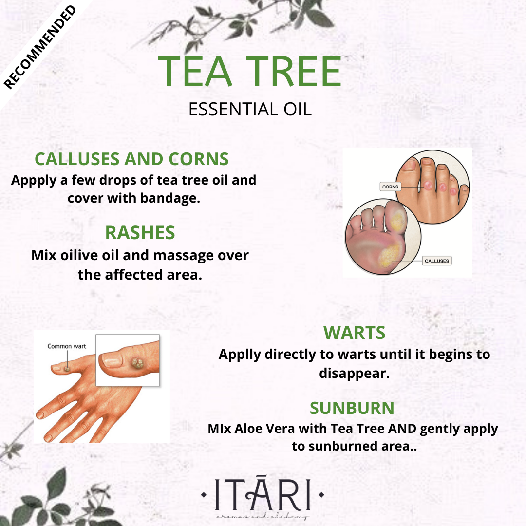 Pure Tea Tree Essential Oil | 100% Natural Therapeutic Grade Eco Certified