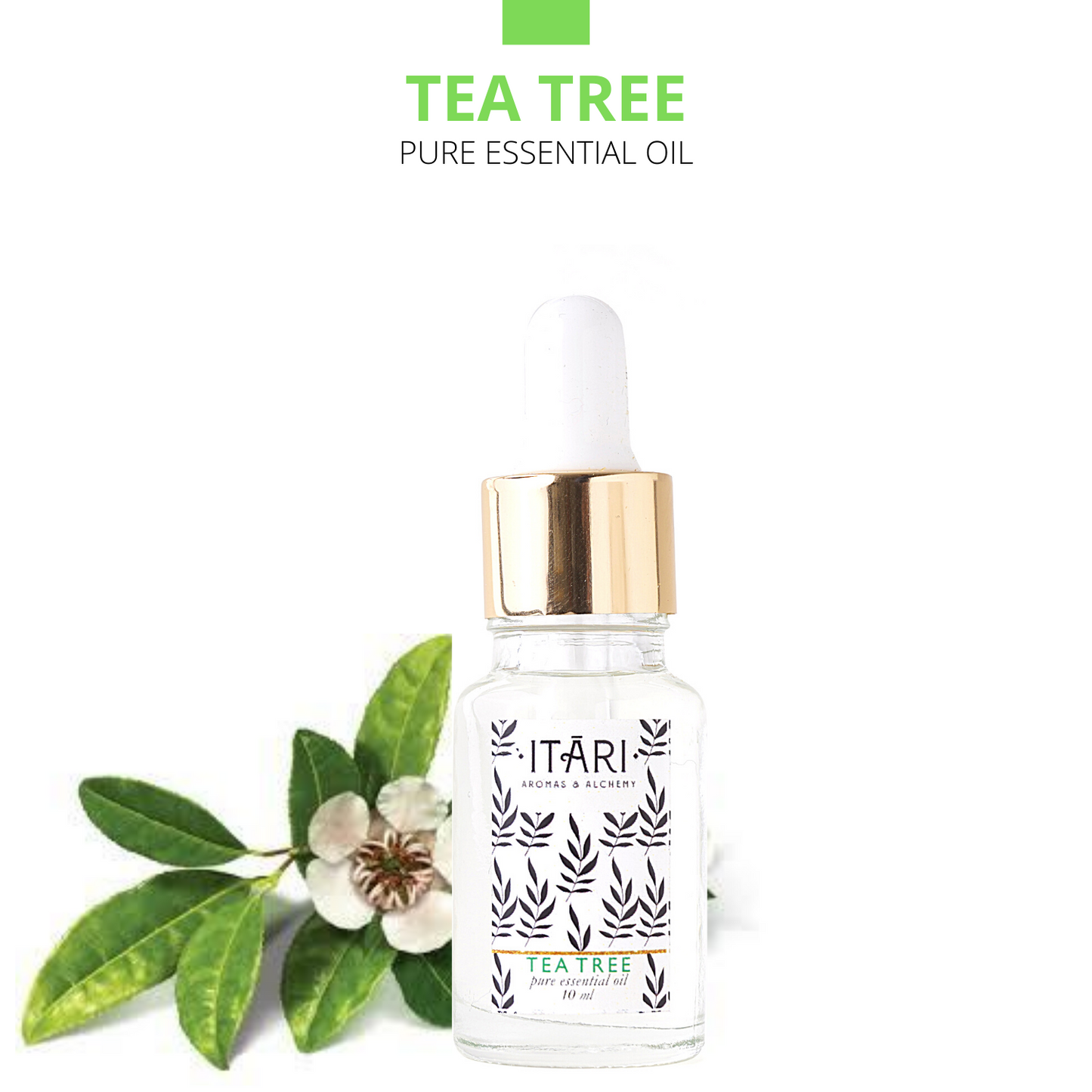 Pure Tea Tree Essential Oil | 100% Natural Therapeutic Grade Eco Certified