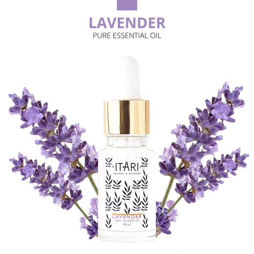Pure Lavender Essential Oil | 100% Natural Therapeutic Grade Eco Certified
