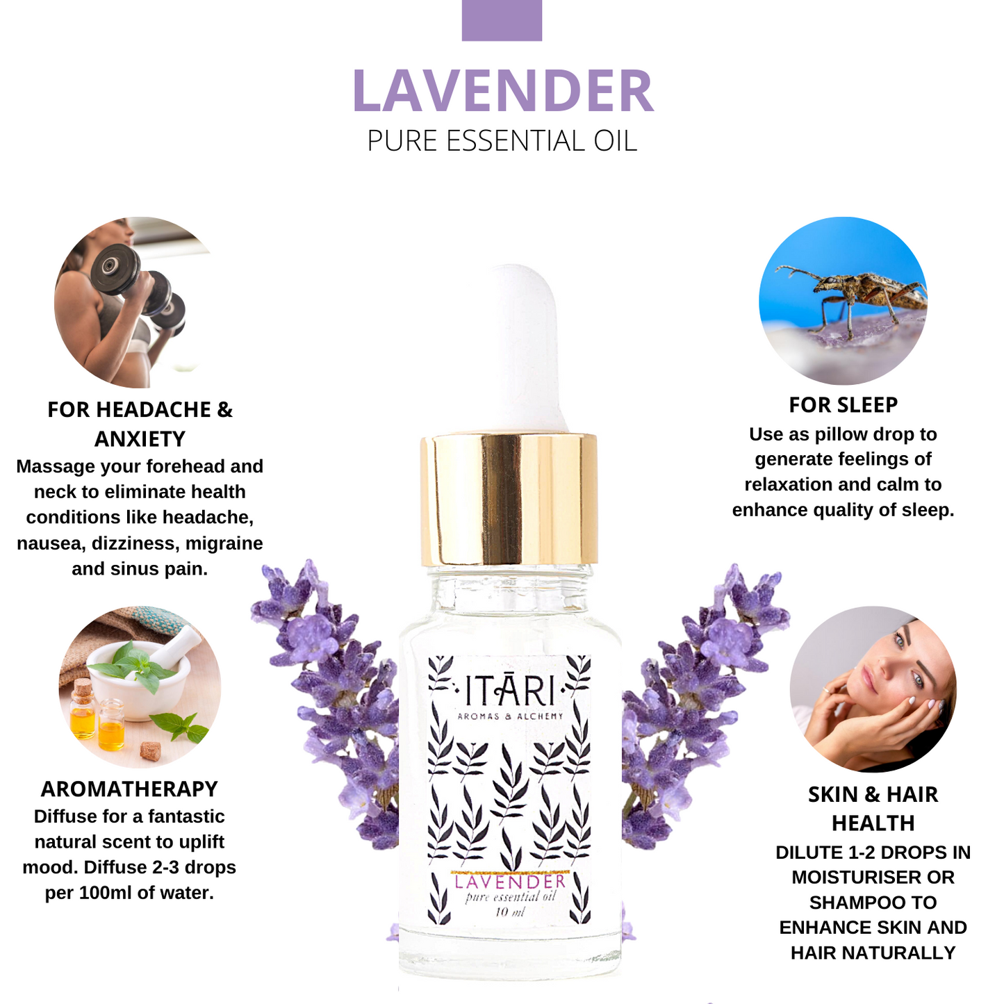 Pure Lavender Essential Oil | 100% Natural Therapeutic Grade Eco Certified