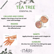 Pure Tea Tree Essential Oil | 100% Natural Therapeutic Grade Eco Certified